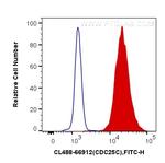 CDC25C Antibody in Flow Cytometry (Flow)