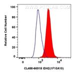 IDH2 Antibody in Flow Cytometry (Flow)