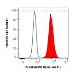 BLNK Antibody in Flow Cytometry (Flow)