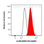 FBL Antibody in Flow Cytometry (Flow)