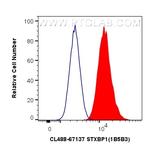 STXBP1 Antibody in Flow Cytometry (Flow)