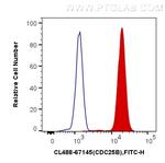 CDC25B Antibody in Flow Cytometry (Flow)