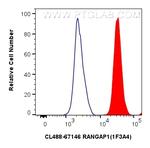 RANGAP1 Antibody in Flow Cytometry (Flow)