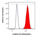 DRG2 Antibody in Flow Cytometry (Flow)