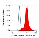 P27/KIP1 Antibody in Flow Cytometry (Flow)