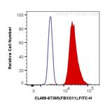 FBXO11 Antibody in Flow Cytometry (Flow)