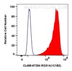 RGS14 Antibody in Flow Cytometry (Flow)