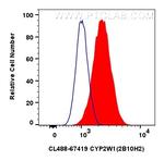 CYP2W1 Antibody in Flow Cytometry (Flow)
