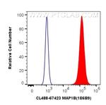 MAP1B Antibody in Flow Cytometry (Flow)