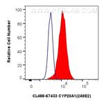 CYP20A1 Antibody in Flow Cytometry (Flow)