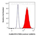 PER2 (isoform 1) Antibody in Flow Cytometry (Flow)