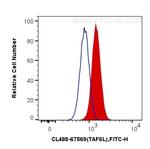 TAF6L Antibody in Flow Cytometry (Flow)