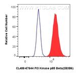 PI3 Kinase p85 Beta Antibody in Flow Cytometry (Flow)