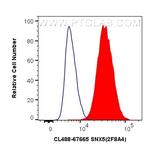 SNX5 Antibody in Flow Cytometry (Flow)