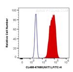 NXT1 Antibody in Flow Cytometry (Flow)
