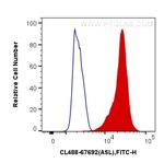 ASL Antibody in Flow Cytometry (Flow)