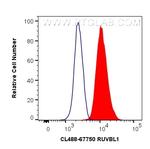 RUVBL1 Antibody in Flow Cytometry (Flow)
