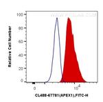 APEX1 Antibody in Flow Cytometry (Flow)