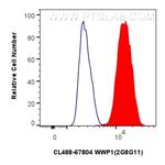 WWP1 Antibody in Flow Cytometry (Flow)