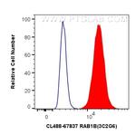 RAB1B Antibody in Flow Cytometry (Flow)