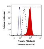 Phospho-P53 (Ser46) Antibody in Flow Cytometry (Flow)