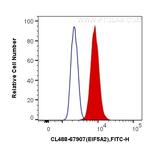 EIF5A2 Antibody in Flow Cytometry (Flow)