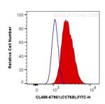 CCT6B Antibody in Flow Cytometry (Flow)