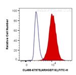 ARHGEF16 Antibody in Flow Cytometry (Flow)