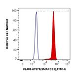 SMARCB1 Antibody in Flow Cytometry (Flow)