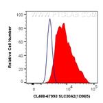 SLC30A2 Antibody in Flow Cytometry (Flow)