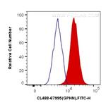 GPHN Antibody in Flow Cytometry (Flow)