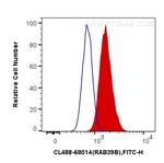 RAB39B Antibody in Flow Cytometry (Flow)