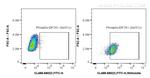 Phospho-EIF2S1 (Ser51) Antibody in Flow Cytometry (Flow)