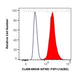 AIFM2/FSP1 Antibody in Flow Cytometry (Flow)
