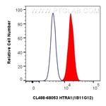 HTRA1 Antibody in Flow Cytometry (Flow)