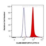 RFX1 Antibody in Flow Cytometry (Flow)
