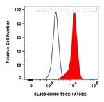 TSC2 Antibody in Flow Cytometry (Flow)