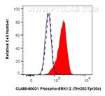 Phospho-ERK1/2 (Thr202, Tyr204) Antibody in Flow Cytometry (Flow)