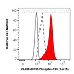 Phospho-P53 (Ser15) Antibody in Flow Cytometry (Flow)
