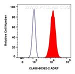 Perilipin-2 Antibody in Flow Cytometry (Flow)