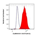 OXCT1 Antibody in Flow Cytometry (Flow)