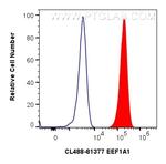 EEF1A1 Antibody in Flow Cytometry (Flow)