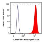 SNAI1 Antibody in Flow Cytometry (Flow)
