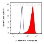 ECHS1 Antibody in Flow Cytometry (Flow)