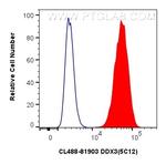 DDX3 Antibody in Flow Cytometry (Flow)