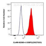 G3BP2 Antibody in Flow Cytometry (Flow)