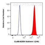 Stathmin 1 Antibody in Flow Cytometry (Flow)