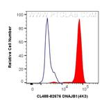 DNAJB1 Antibody in Flow Cytometry (Flow)