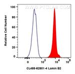 Lamin B2 Antibody in Flow Cytometry (Flow)