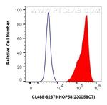 NOP58 Antibody in Flow Cytometry (Flow)